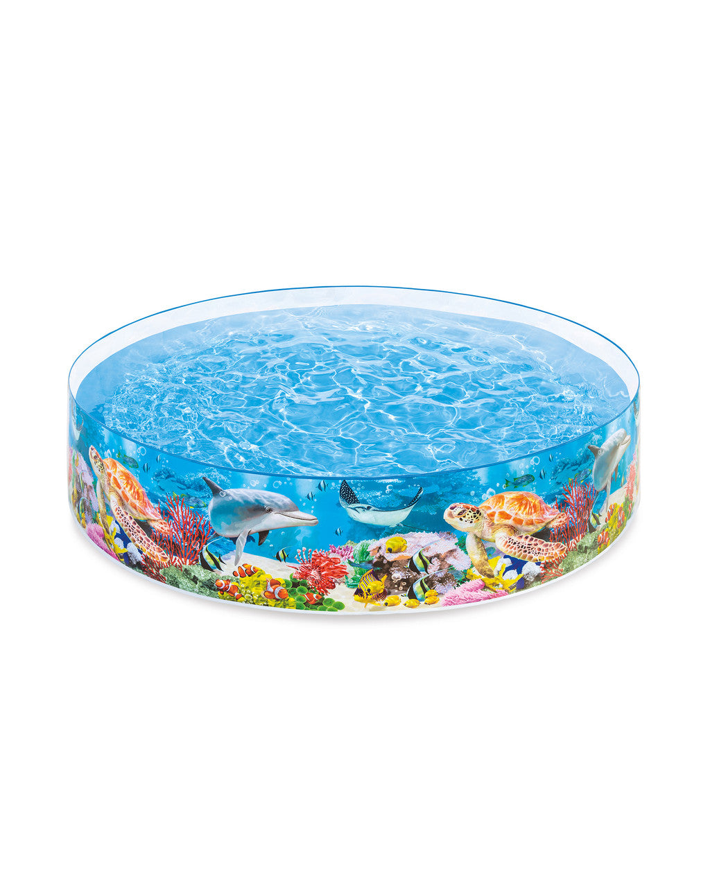 INTEX Coral Reef Snapset Pool (8' x 1'6")