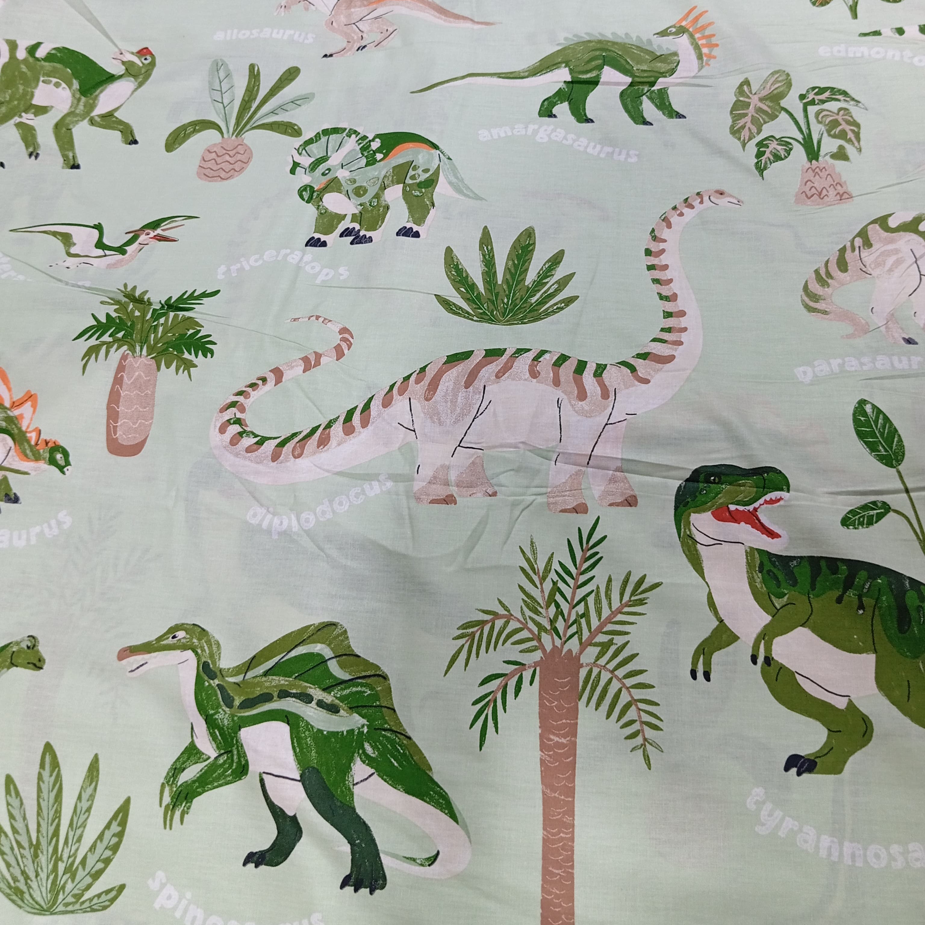 Dinosaur kids cotton Bedsheet