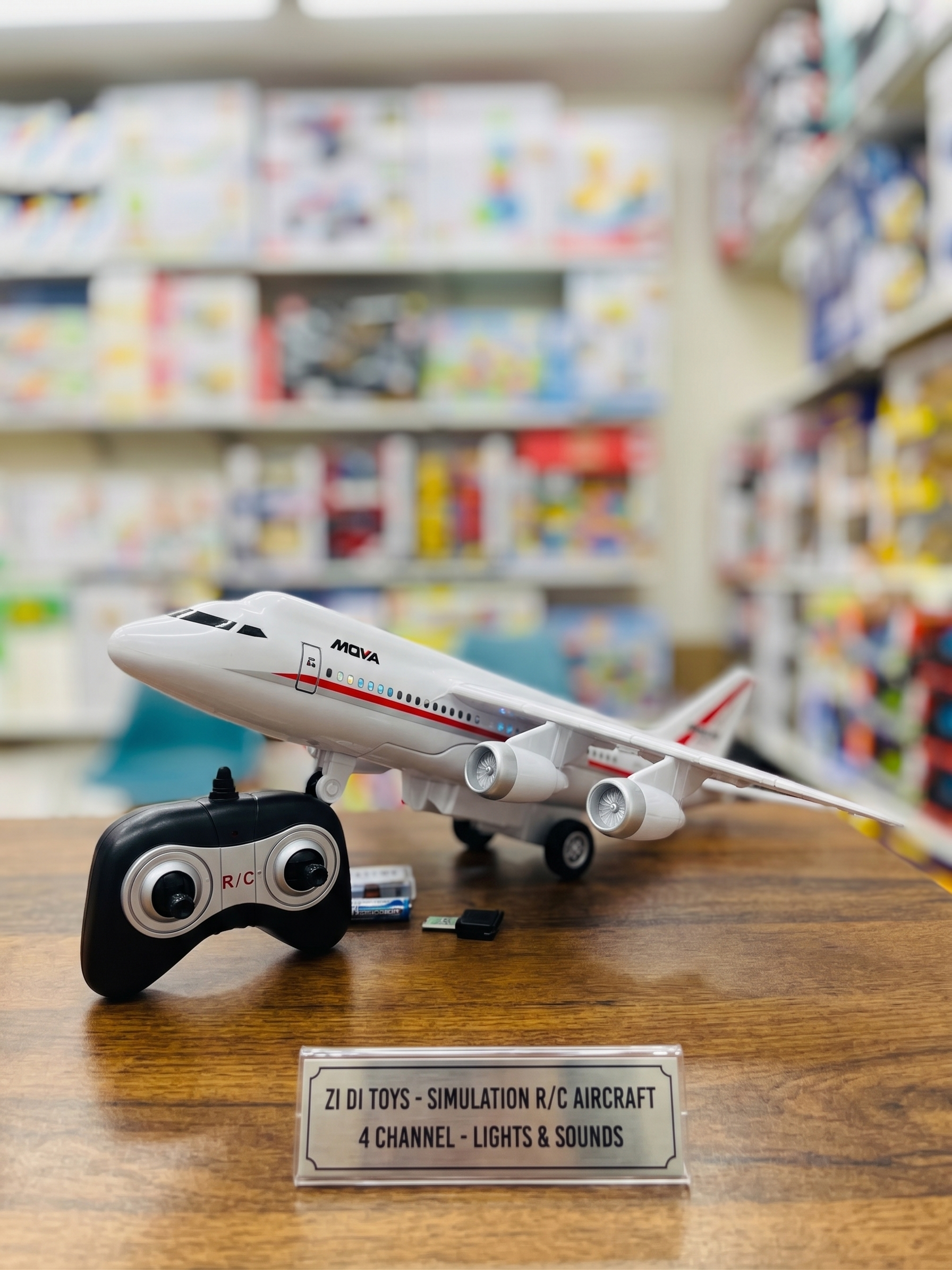 Simulation Airbus 787 Remote Control Airplane